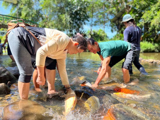 Kinabalu Park and Poring Hot Spring